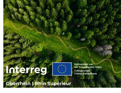 🏃♀️ Le projet Interreg « Le trail running rapproche » est approuvé !
Avec 18 partenaires français et allemands, dont le CROS Grand Est, cette coopération transfrontalière lancée dans le Rhin Supérieur vise à rendre le trail accessible à tous : loisir, jeunes, haut niveau, personnes en situation de handicap.
✅ Signalisation transfrontalière bilingue
✅ Offres d’information et de formation bilingues
✅ Plus de 160 km de parcours nouveaux et réaménagés
✅ Entraînements, compétitions et échanges en France et en Allemagne
Plus d’informations : trail-run.org
#Trail #Interreg #RhinSupérieur #CROSGrandEst #sportgrandest
@large_athle | @interregrsor | @cda_67
