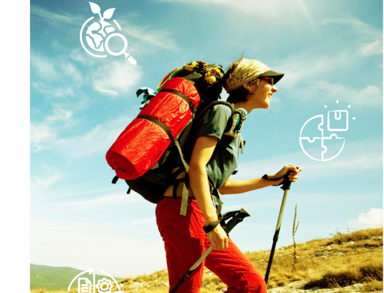 Résultats d'enquête : Sport et transition écologique